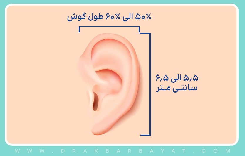 هزینه و قیمت جراحی زیبایی گوش سال 1404